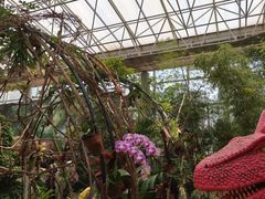 -沈阳植物园