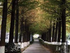 -星湖街(地铁站)