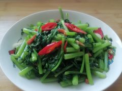 -天鹅到家·保姆月嫂育儿嫂(总店)
