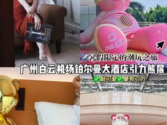 -广州白云机场雅高铂尔曼大酒店