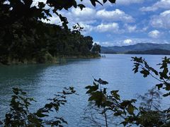 -广州市流溪河国家森林公园