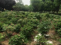 -幕燕滨江·长江观音景区