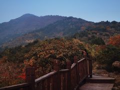 -北京十三陵国家森林公园蟒山景区