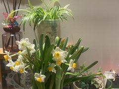 -西树泡芙(湖滨银泰in77B区店)