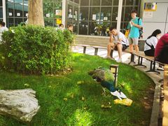 -东方时尚驾校摩托车考试场