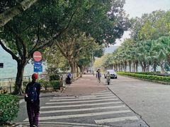 -风云岭森林公园