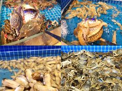 -乔哥铭洋海鲜自助(皇城恒隆广场店)