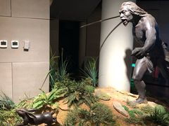 -北京周口店北京人遗址博物馆