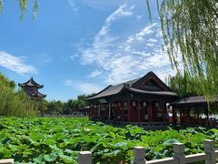 -济南大明湖景区