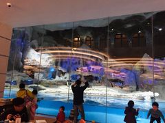 -帝企鹅自助餐厅•儿童岛•真企鹅(长隆企鹅酒店)