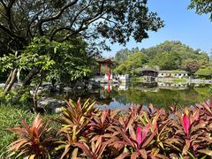 -顺峰山公园