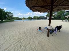 -上海佘山世茂艾美酒店