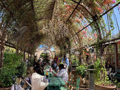 -The Grounds of Alexandria