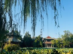 -莲池书院博物馆