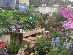 -双季花艺园艺市场(浦东店)