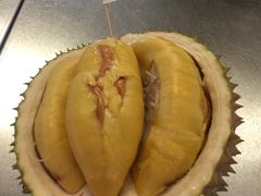 -都念榴莲·城市榴莲