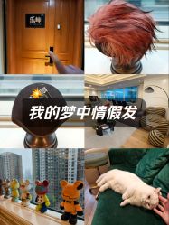 -乐绅男士高端假发定制