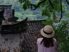 -杨家堂村