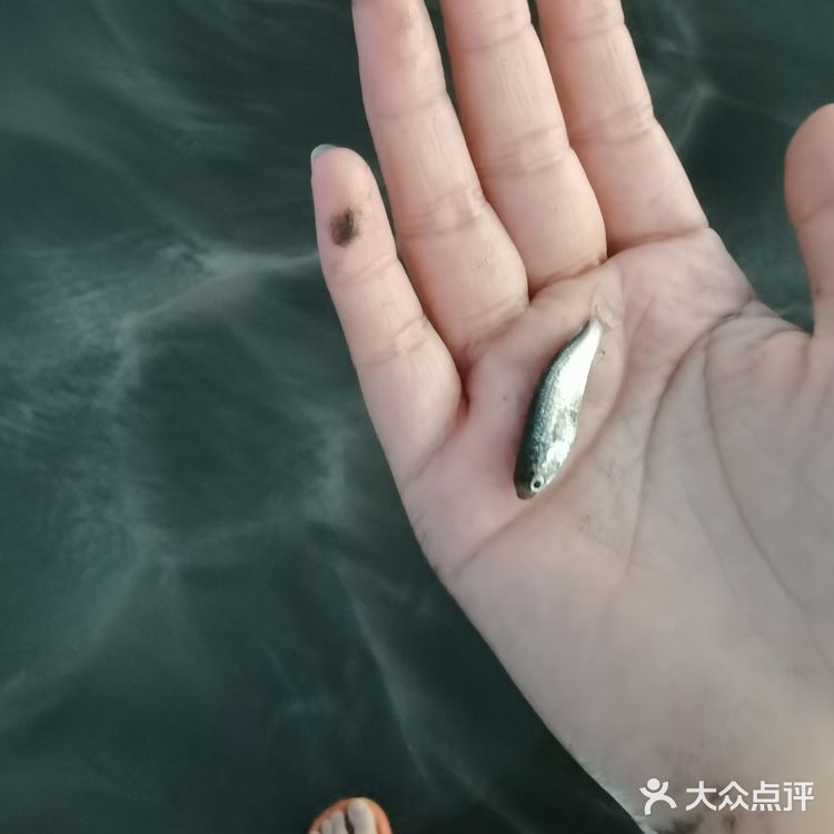 汕头井都加路仔海滩