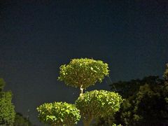 -艾溪湖湿地公园