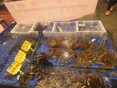 -船奇蒸汽海鲜·闽菜(八市海鲜总店)