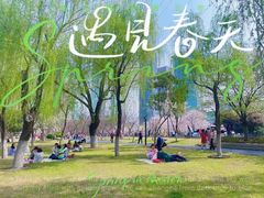 -西北湖绿化广场