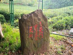 -南京市江宁方山