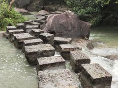 -广州白江湖森林公园