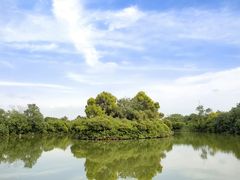 -大湾区中央湿地公园