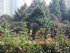 -常州古运河南大街文化旅游区-人民公园