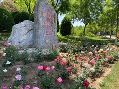 -燕郊植物园
