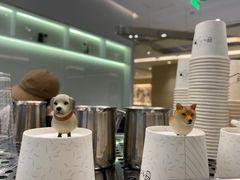 -Seesaw Coffee(上海国金中心店)