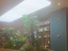 -悦海·家宴·冰花皮皮虾大锅贴(宝龙店)