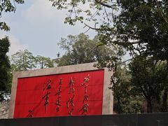 -鱼珠码头(轮渡站)