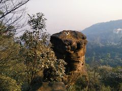 -缙云山景区