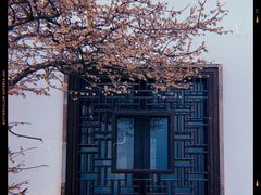 -老门东历史文化街区