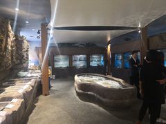 -郑庄脂渣海鲜楼(九水路店)