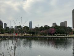 -院士公园