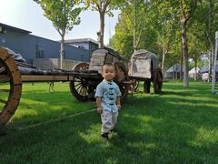 -九十九顶毡房(阜石路店)