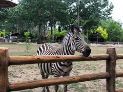 -大连森林动物园