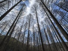 -小格里自然风景区