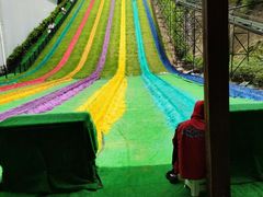 -梦幻奥陶纪景区