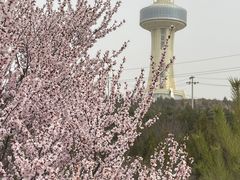 -五龙城郊森林公园
