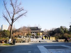 -红梅公园