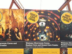 -怀托摩萤火虫洞