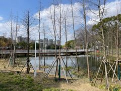 -新江湾城公园