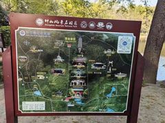 -灵谷景区