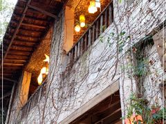 -馬蘭花開(车站大道店)