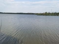 -西青郊野公园