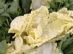 -草原传奇鲜羊火锅(桥北店)